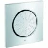 Grohe Rainshower F-Series 1 Spray Chrome Side Shower