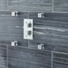 Nuie Chrome Shower Body Jet